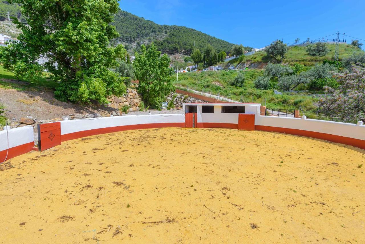 Casa Flores Con Piscina Interior Climatizada Alcaucín Exterior foto